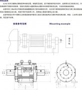  ECKZ楔塊式單向離合器